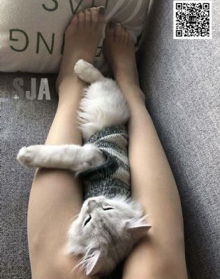 第一次爱的人免费观看韩剧_BD国语免费在线观看